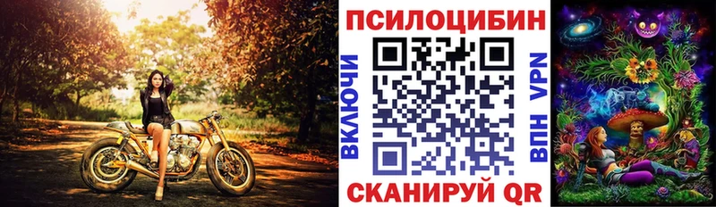 мориарти состав  Кострома  Псилоцибиновые грибы ЛСД  где продают  